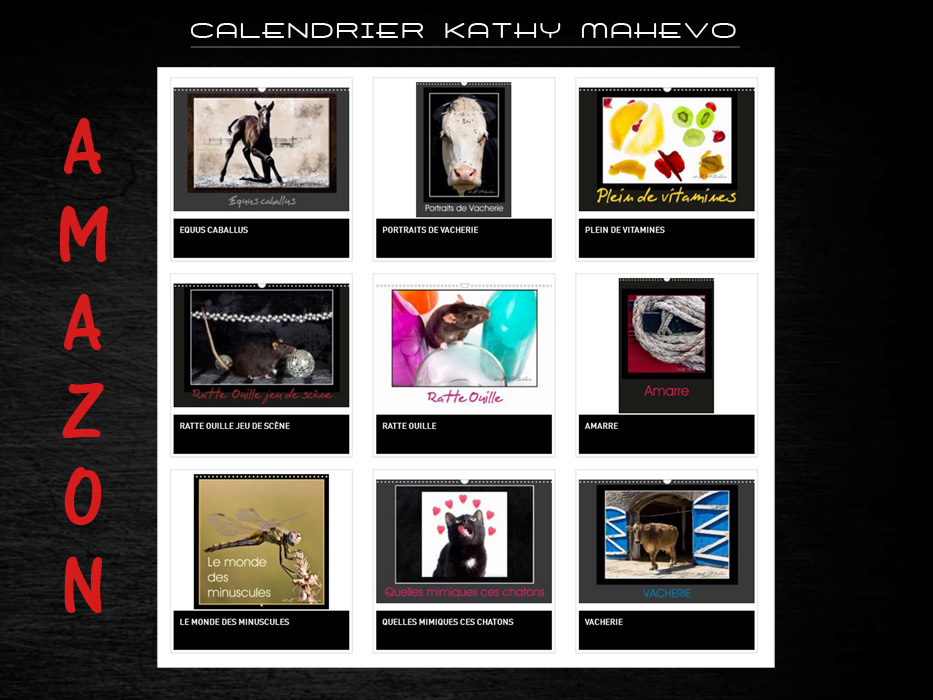 000 calendriersb