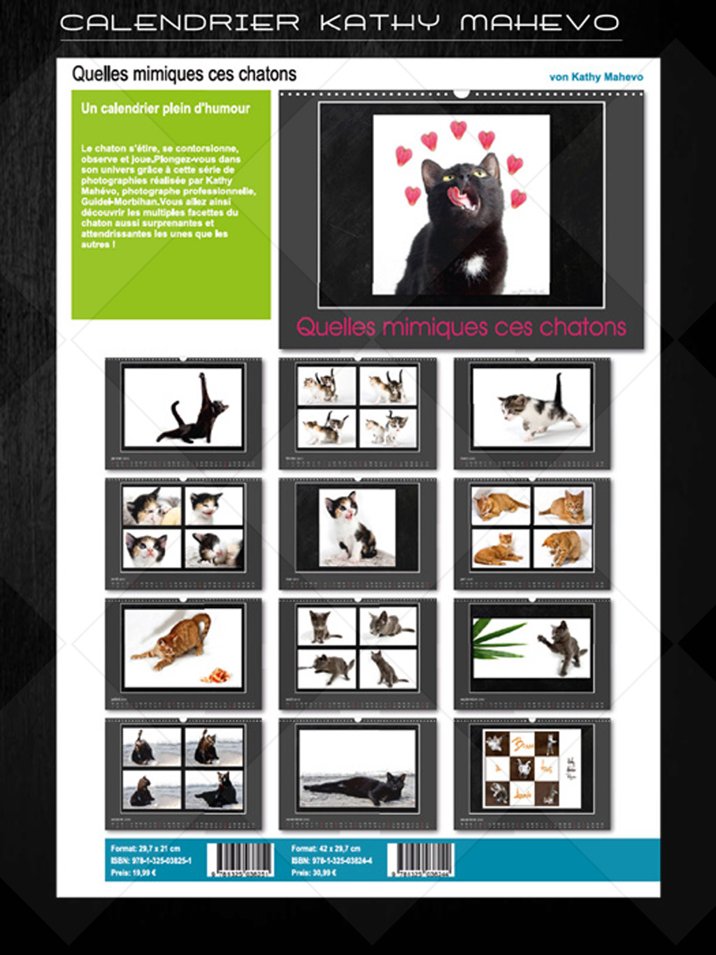 001 quelles mimiques ces chatonsb 1