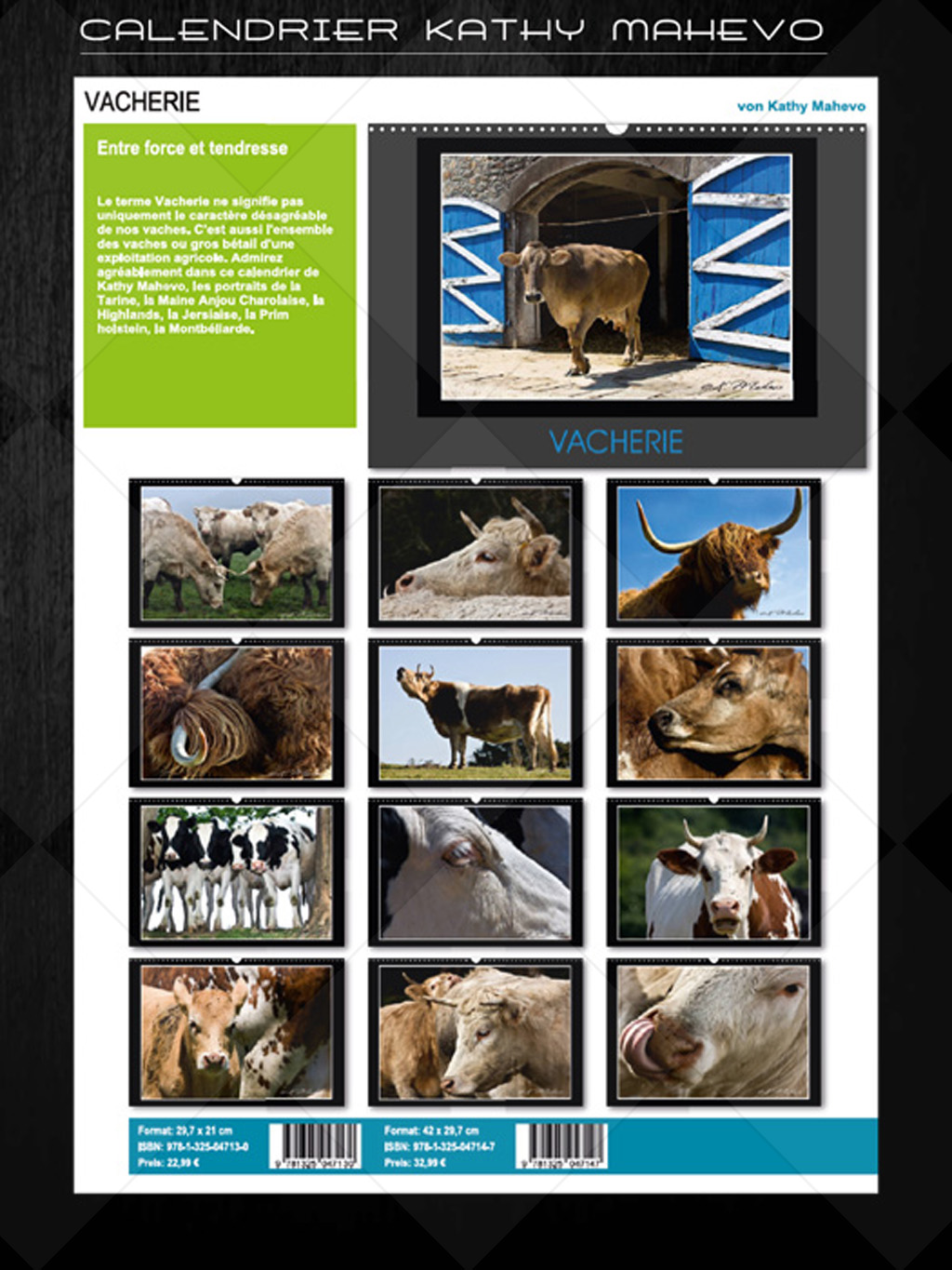 003 vacherieb livre affiche 1