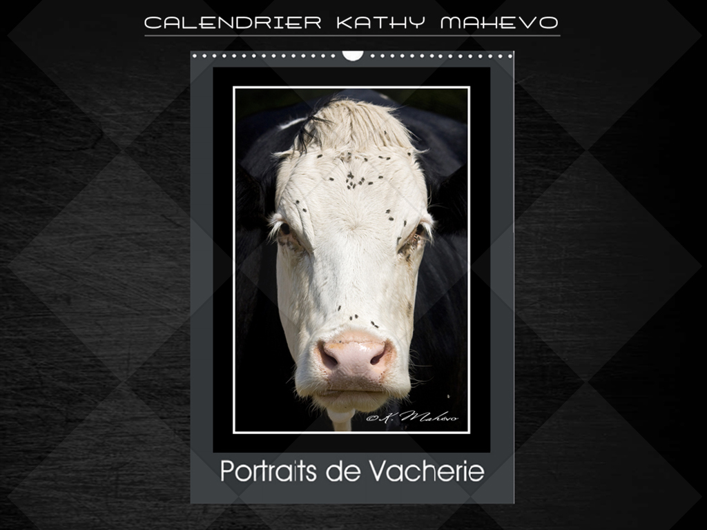 004 portraits de vacherie livre affiche 1