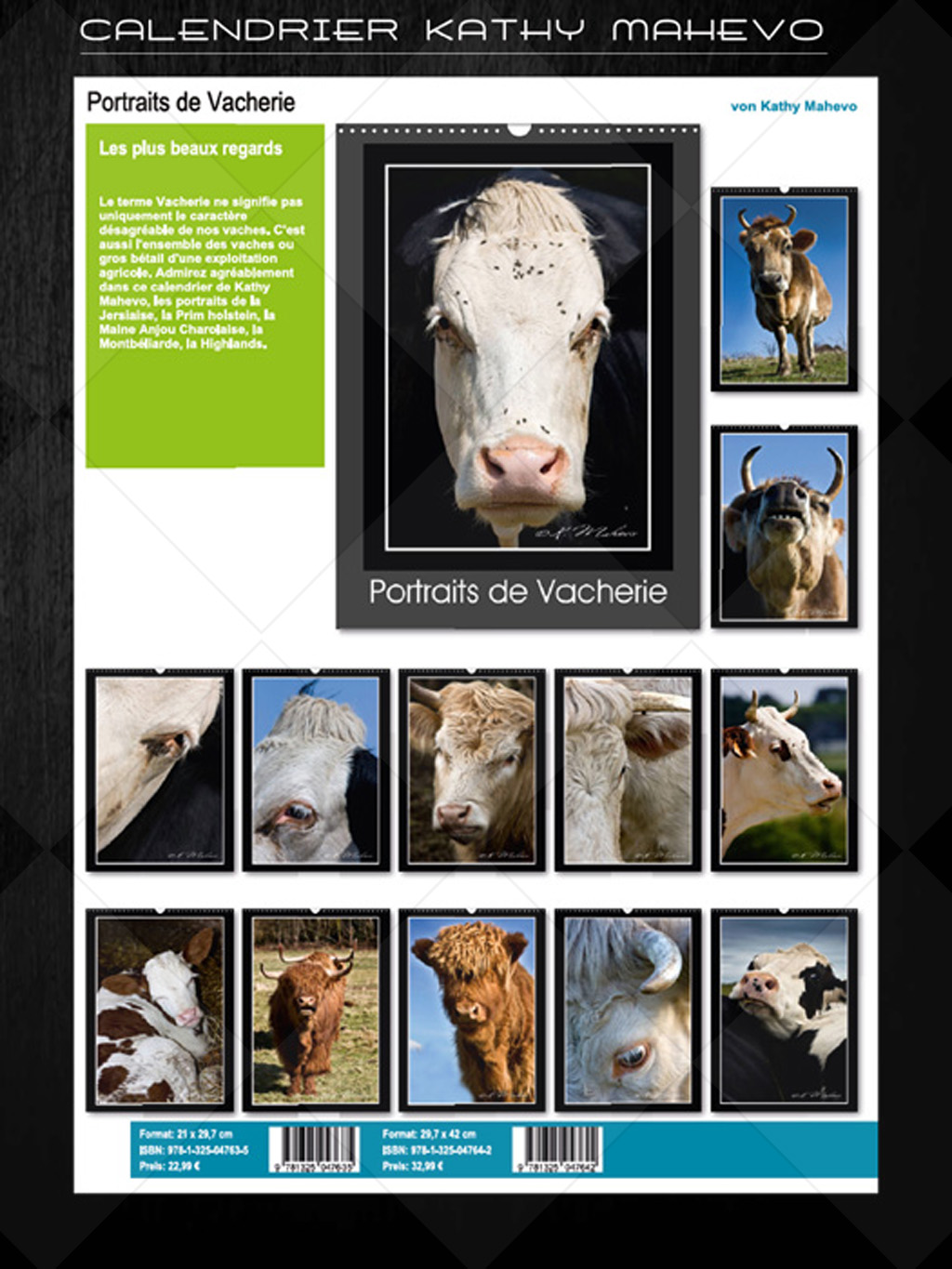 004 portraits de vacherieb livre affiche 1