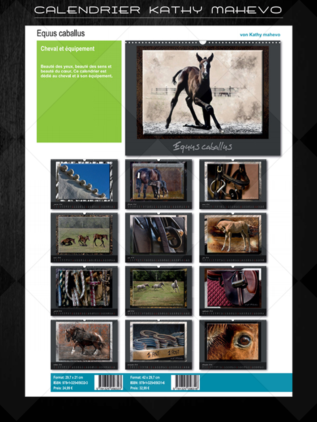 006 equus caballusb 1