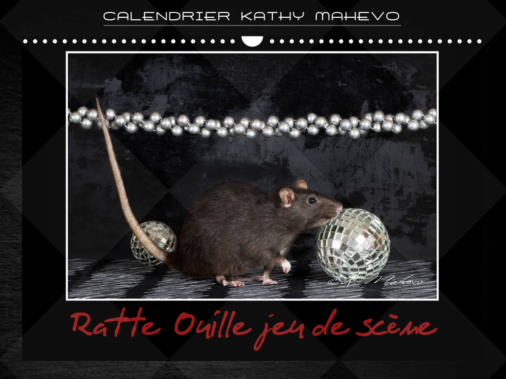 008 ratte ouille jeu de scene