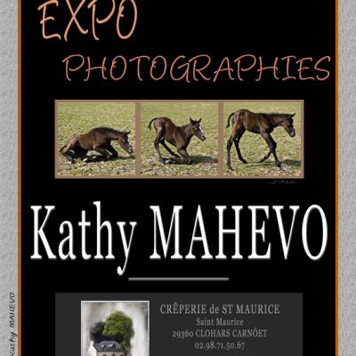 2-EXPO 2012-CREPERIE ST MAURICE-29 CLOHARS CARNOET