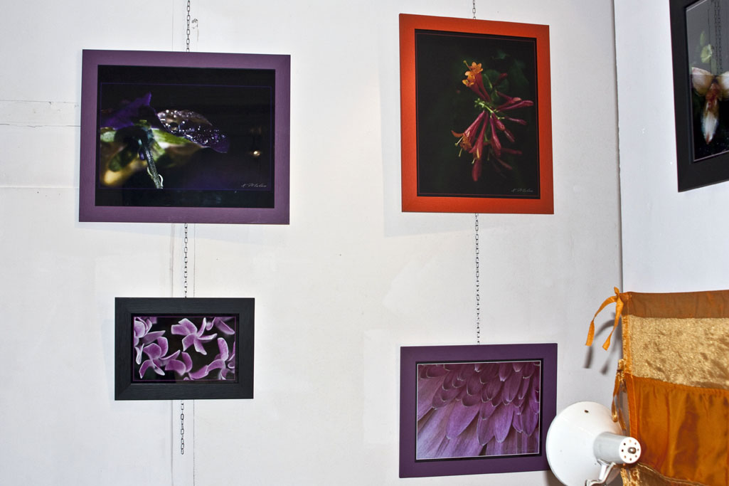 6-20101206_EXPO LOCUNOLE_010