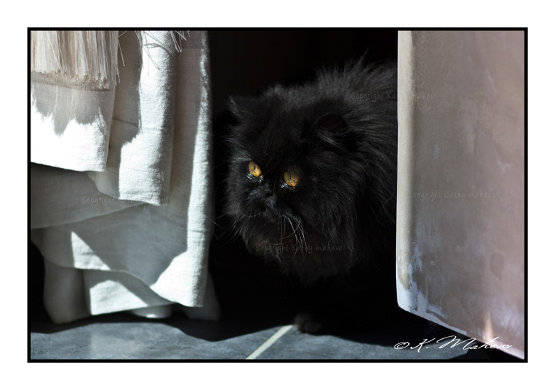 CHAT_014